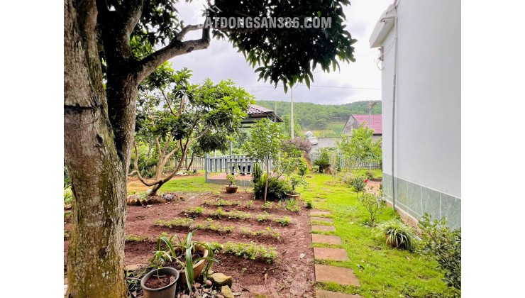 Cần Bán Nhà Đất 987m² Có Sẵn Nhà Cấp 4, Giáp Đồi Thông, Giá 4,7 Tỷ